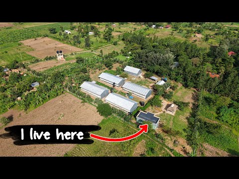 Small Urban Farm Vs Big Rural Farm | What is Better?