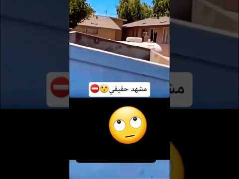 لما تدخل بشغله ما تخصك !🤣 #هتضحك #قطط_مضحك #funny