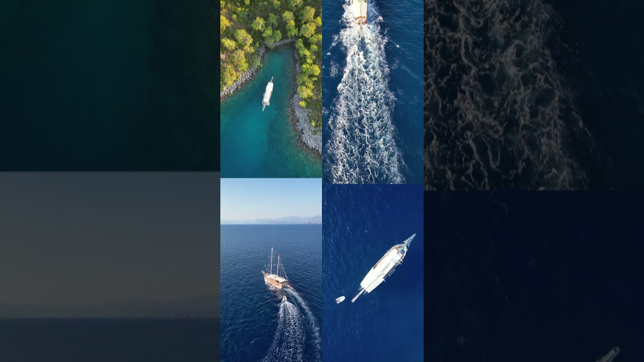 Video Alesta Yachtıng