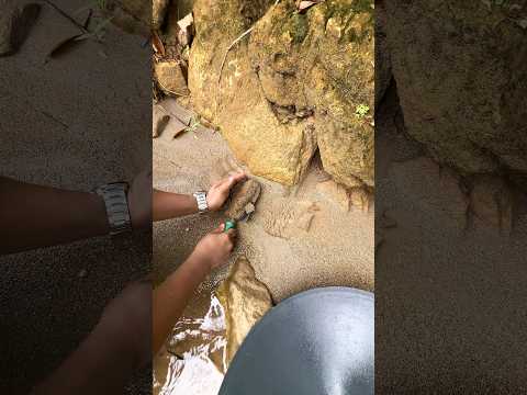 Crazy.,😱‼️discovery of gold dust in inland rivers carried by flash waters. #golddiscovery #goldrush