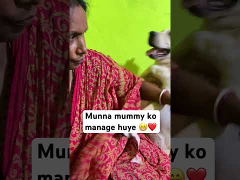 Manate huye#dog #pooch #cutepuppy #labrador #puppy #funny #pet #animallover