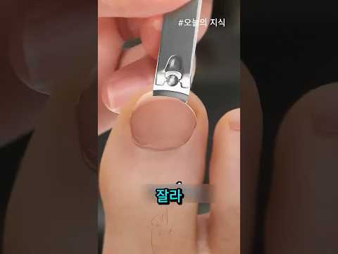 😱 만약 80억 명이 발톱을 잘라 바다에 버린다면 무슨 일이 일어날까?