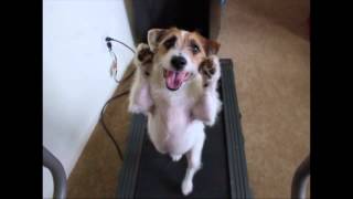 Jesse Sweep and Treadmill