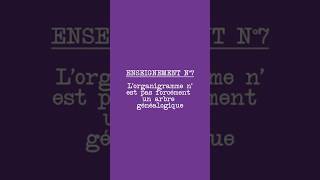 L’organigramme n’est pas forcément un arbre généalogique | Enseignement #7