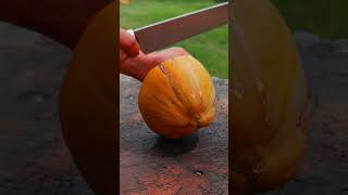 impressive coconut cutting experience
