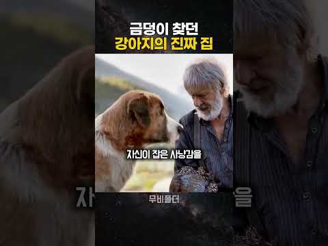 금덩이 찾던 강아지의 진짜 집