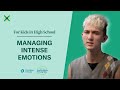 Managing Intense Emotions Strategies