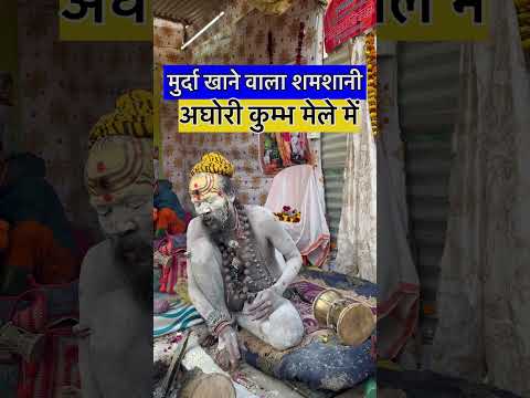 सभी विधियों में निपुण हैं बाबा || अकाल मुर्त्यु जीत कर आया हूँ #agoribaba #KumbhMelaPrayagraj #hindu