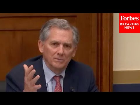 YouTube video thumbnail: 'Isn't There A Better Way?': French Hill Advocates For Reforming IRS Small Business Databases