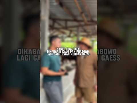 Kaget tiba" presiden prabowo beli kerbau india #setiafarm #sapikurbanterbaik #kerbau