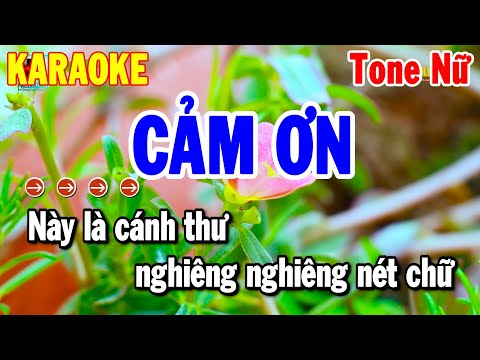 Karaoke Cảm Ơn Tone Nữ Nhạc Sống Beat Hay Nhất 2025 | Thanh Hải