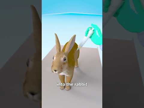 Pee in a rabbit in Roblox Brookhaven