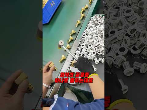 ์ธ๊ฐ ์ญ์ฌ์ ์ต์
์ ์๋ฐ