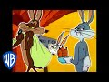 Coyote and Rabbit: A Lesson in Friendship