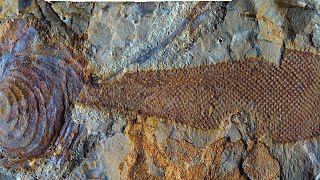 12 Most Mysterious Archaeological Artifacts Finds Scientists Still Can't Explain