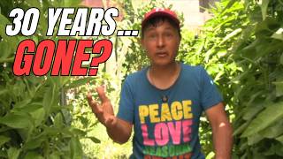 I'm No Longer Raw Vegan After 30 Years - Here's Why