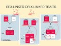 Exploring Non-Mendelian Genetics Concepts
