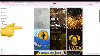 LWEX Is Not a Scam – These Are My 3 Reasons Why?