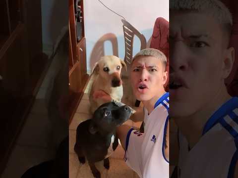 EL VIEJO 👴🏻 ROCKY ❤️ Y LA JENNIFER LOPEZ 👩🏿‍🦱🫶🏻🩵 #argentina #viral #youtubeshorts #parati
