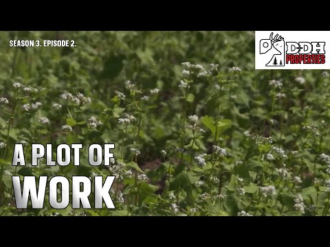 A Plot of Work | DDH Properties