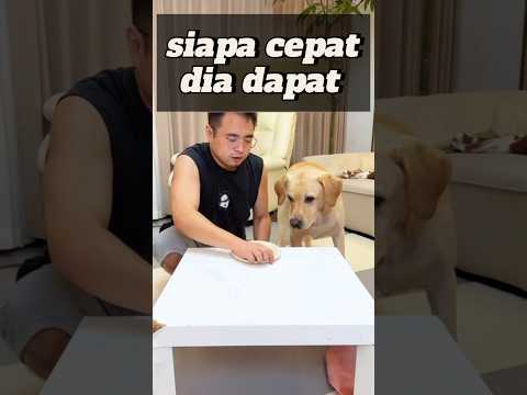 malah kena prank ๐
, #momen#lucu