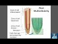 Multicellularity and Cell Communication Concepts