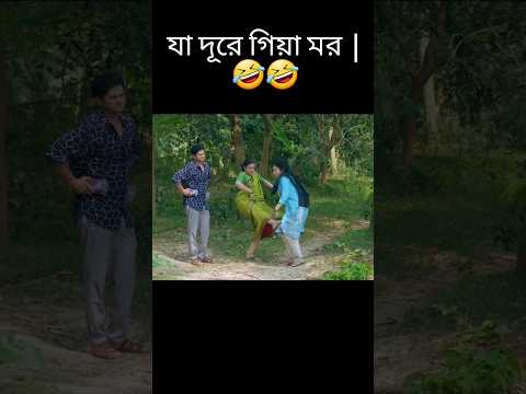 জামাই যখন নতুন বিয়ে করতে চায় | Niloy Alamgir | Tasnuva Tisha | Best funny.