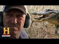 Python Capture and Alligator Nesting