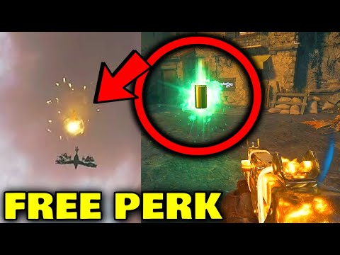 New Citadelle Des Morts Raven FREE Perk Easter Egg Guide! (Black Ops 6 Zombies Free Perk Easter Egg)