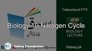 Biology 10 Nitrogen Cycle