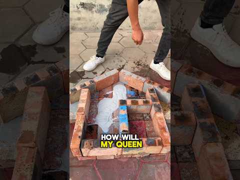 "OMG! 🤯 Papa Built a Waterproof Home for Queen Fish! 🏠🐟 (You Won’t Believe This!)#shorts"