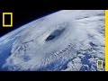 Impact of BP Oil Spill and Hurricanes