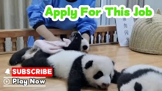 This Job Must Be Tiring, Let Me Help You Nanny! | iPanda