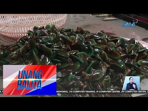 Ilang Baybayin Sa Visayas At Mindanao Apektado Ng Toxic Red Tide