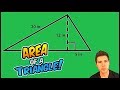 Pythagorean Theorem and Triangle Properties