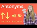 Understanding Antonyms