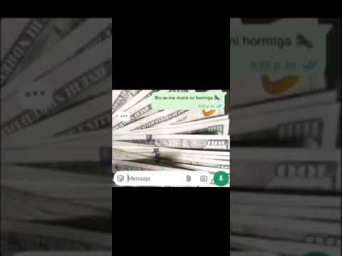 Mi hormiga #humor #meme