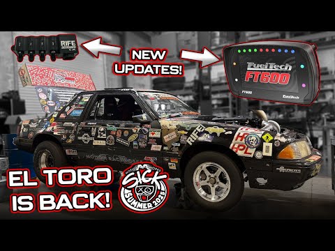 Click Clack, El Toro is Back! Sick Summer 2025 Prep!