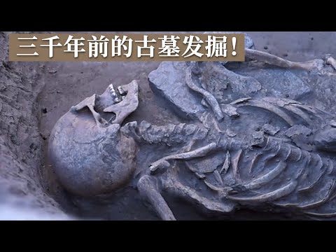 掩埋三千多年的古墓 考古现场疑似出现祭祀现象 探方发掘宛若开盲盒！《探索·发现》2023敖汉考古纪实 丨 中华国宝