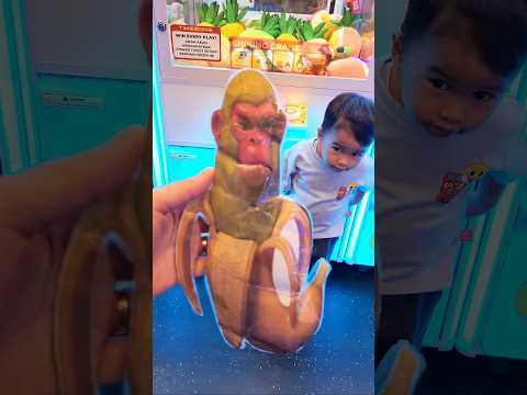 Kaif nemu Simpansini Bananini #shortvideo #funny #ytshorts #shorts #anomali #mesincapit