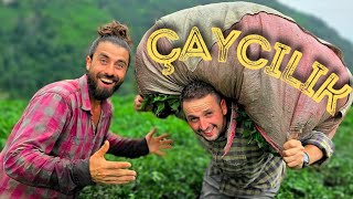 EN ZOR İŞ? 😮‍💨 TAKİPÇİME ÇAY KESMEYİ ÖĞRETTİM! 👨‍🌾