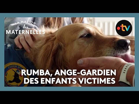 Rumba, ange-gardien des enfants victimes - La Maison des maternelles #LMDM