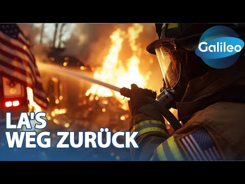 LA erhebt sich wieder: Neustart nach der Feuer-Katastrophe