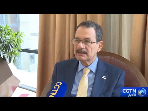 خبير مصري:  التعاون الرقمي بين مصر والصين ركيزة لتحقيق التنمية المتبادلة