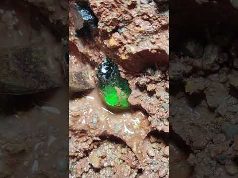 Full video on homepage#gems  #agate#crystal#gold#Gems#diamonds#gold mines#emeralds #pearl