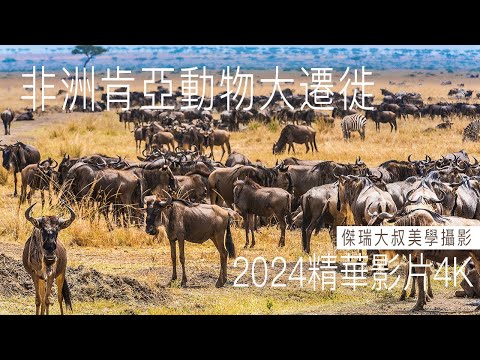 2024非洲肯亞動物大遷徙