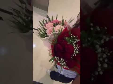 حب لينو للورد مو طبيعي 🌹بتجنن✨