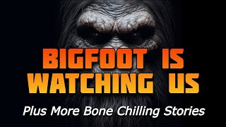 Bigfoot Has Been Watching Us For Months - Plus More Bone Chilling Stories