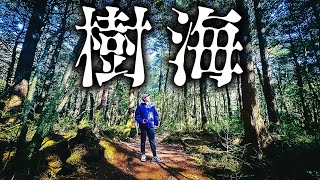 【秘境】富士の樹海に”ガチ”で行ってみた！1泊2日の旅