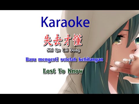 Shi Qu Cai Dong – 失去才懂 – Karaoke – Terjemahan – Pinyin – Lyrics – Lirik